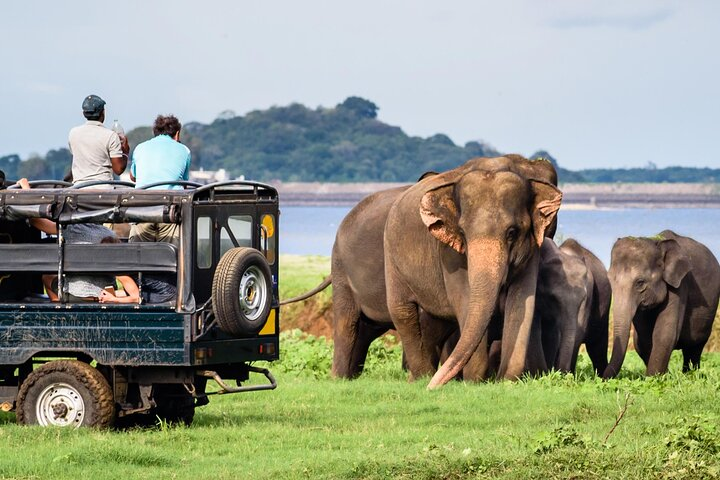 GO WILD! Double Safari Day Trip (Yala & Udawalawe) - Private & All Inclusive  - Photo 1 of 14